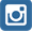 icoInstagram