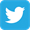 icoTwitter